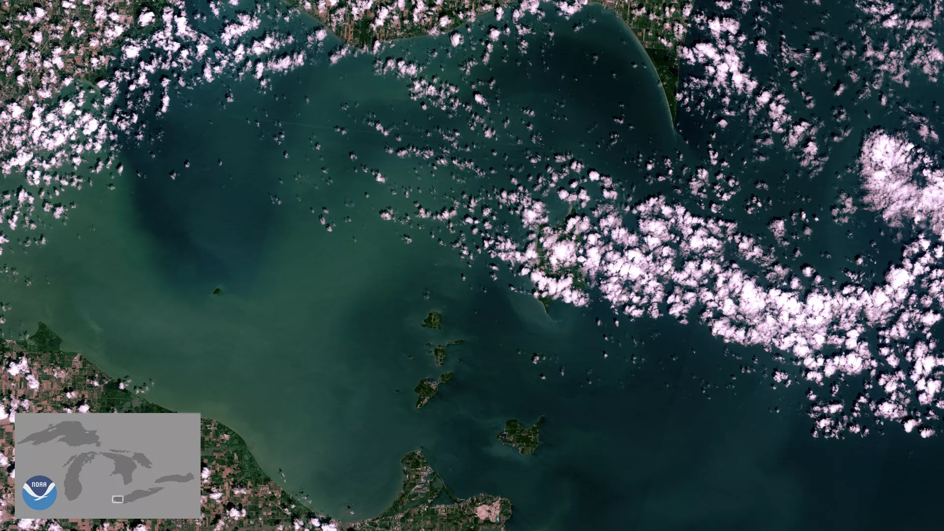 A Harmful Algal Bloom (HAB), seen by the Sentinel-2 satellite, in Lake Erie, taken Aug. 2019.