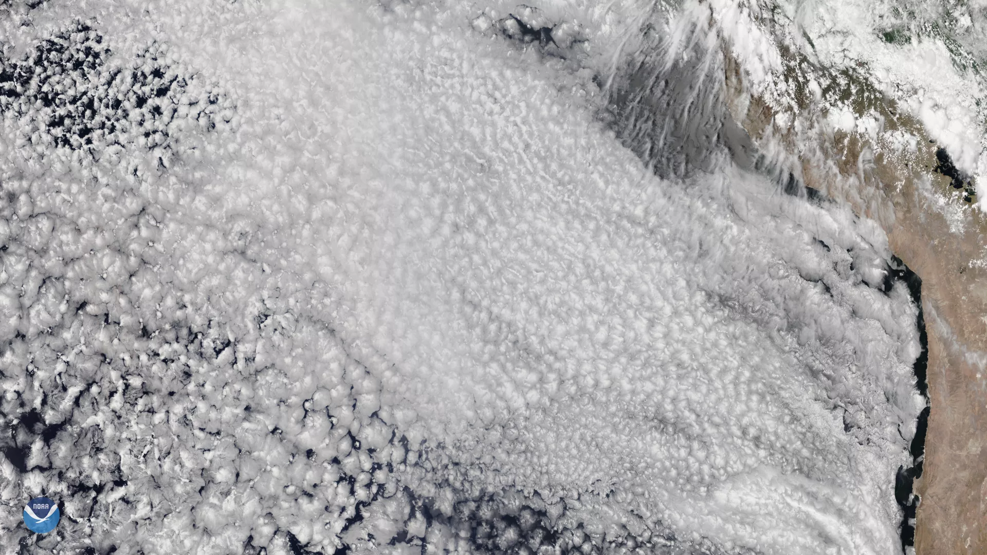 Satellite imagery of marine stratocumulus clouds off the western coast of South America, via NOAA-20, Dec. 3, 2019.