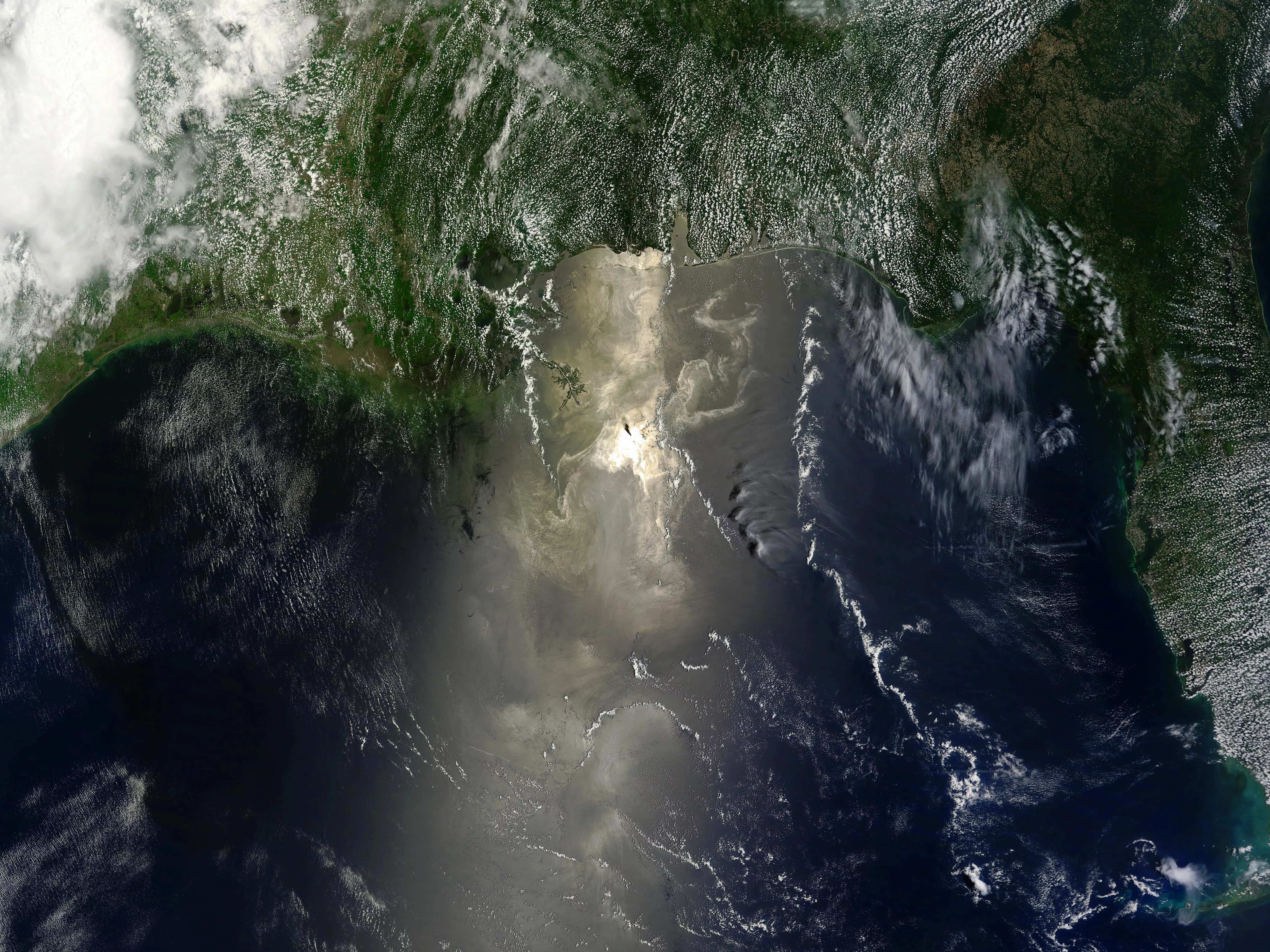 Image of the gulf of mexico