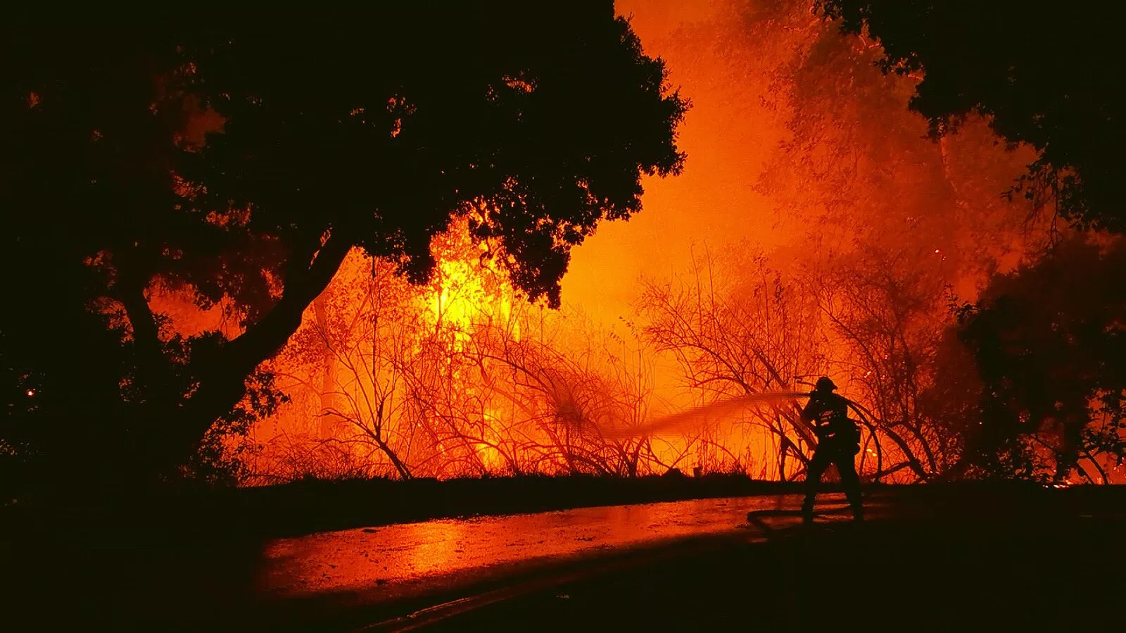 Photo of wildfires in california