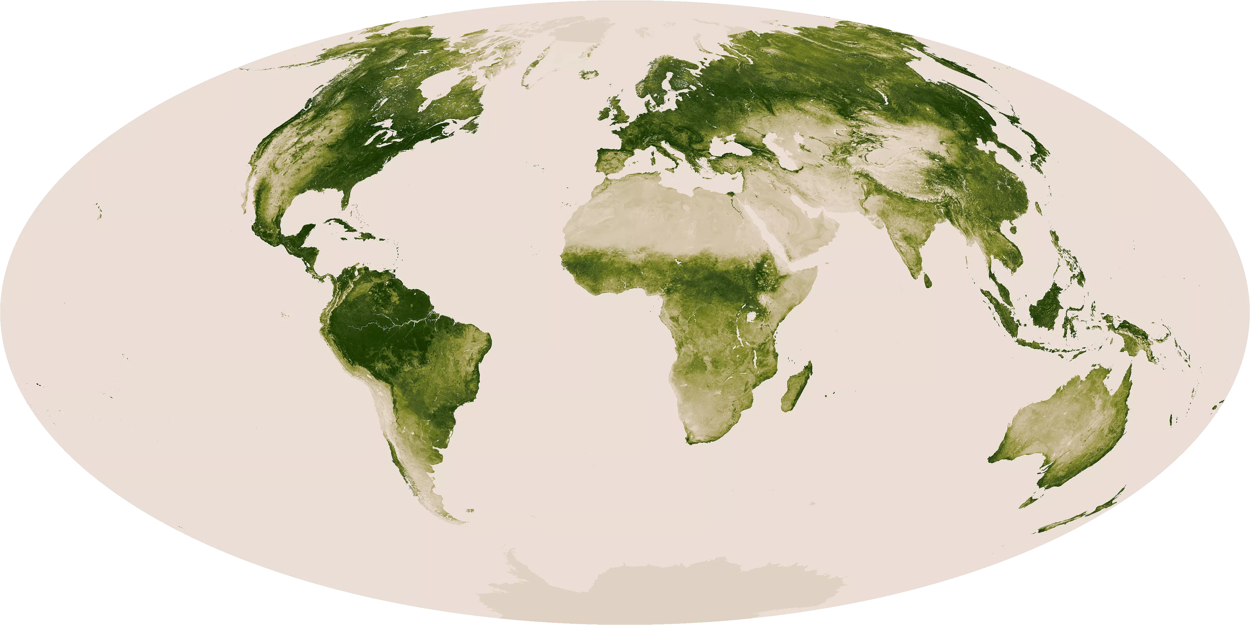 Image of the vegetation index