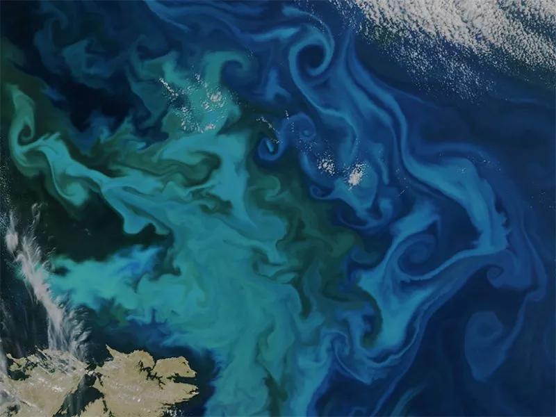 VIIRS imagery of algae bloom near the Faroe Islands, Denmark, circa 2015.