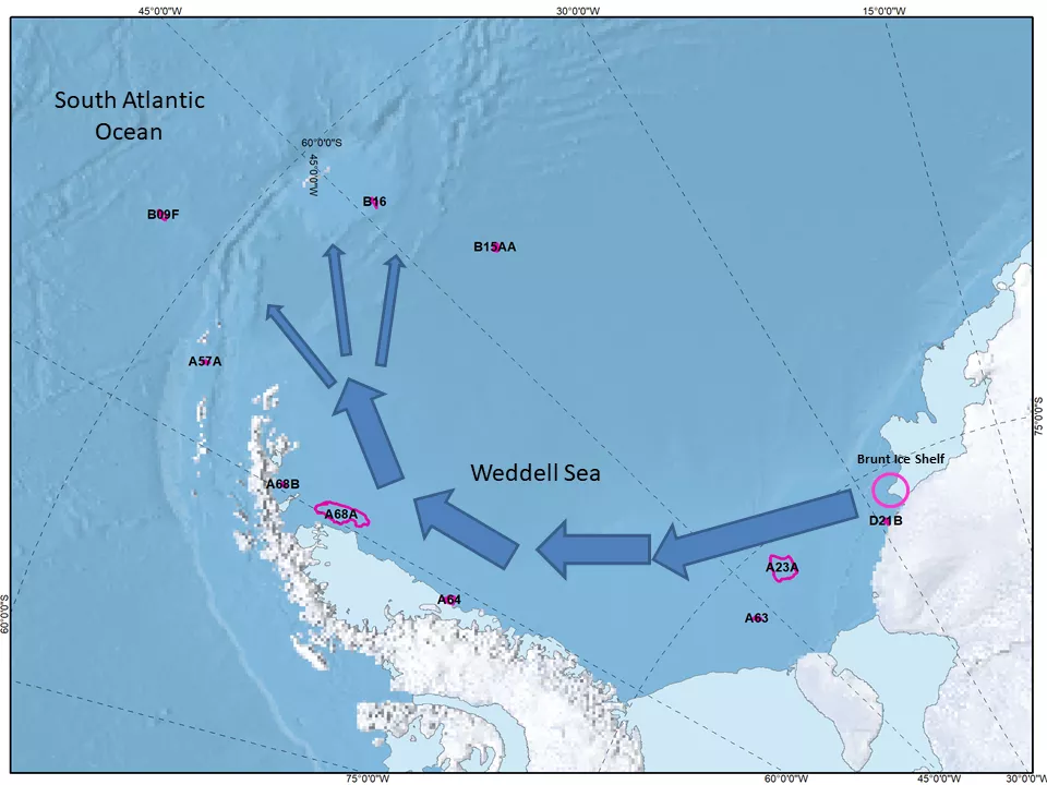 A map of Weddell Sea where the new icebergs might drift