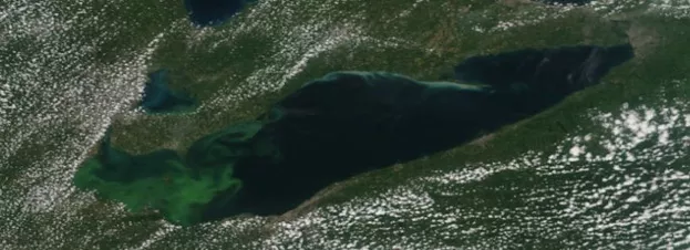 Image of algal bloom from space