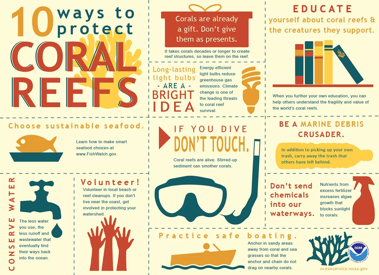 Graphic image of coral reefs