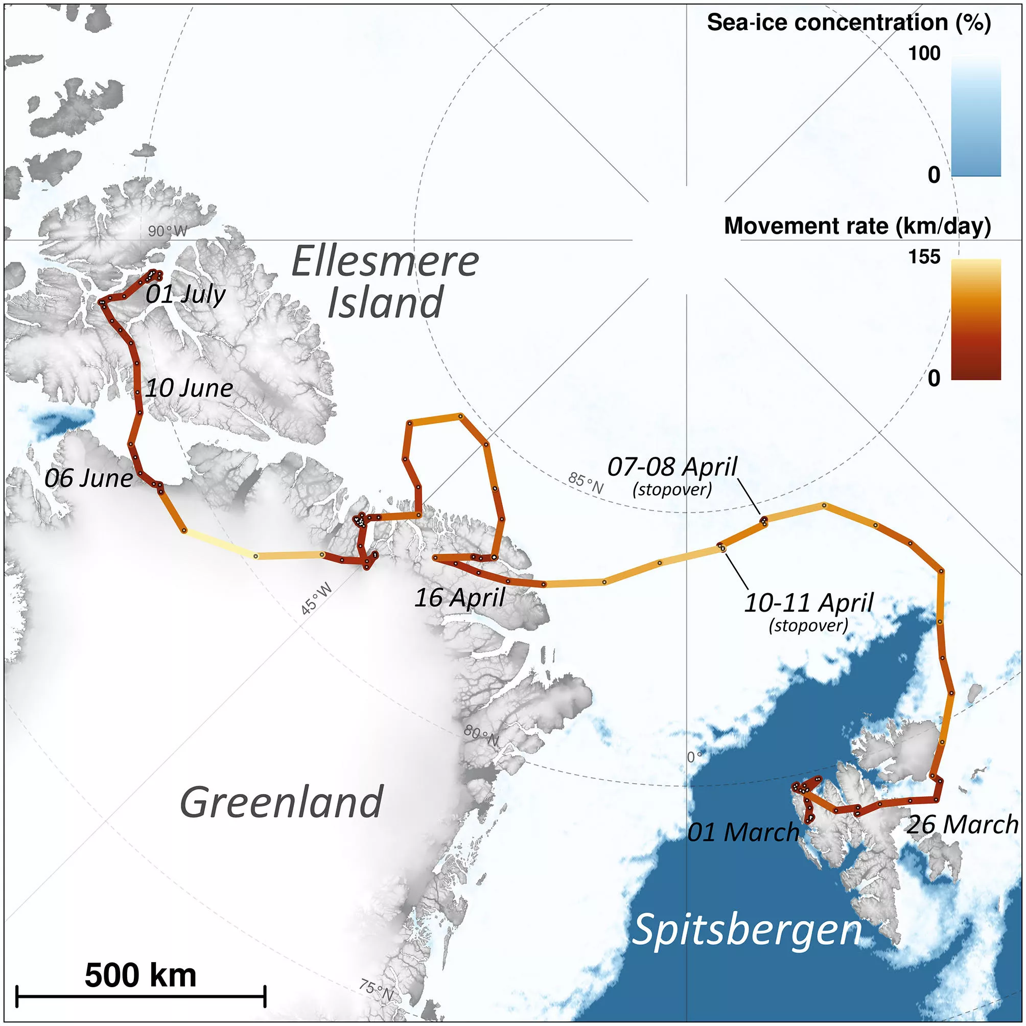 This map shows the movements of a young female Arctic fox that traveled from Svalbard to a remote part of Canada. 