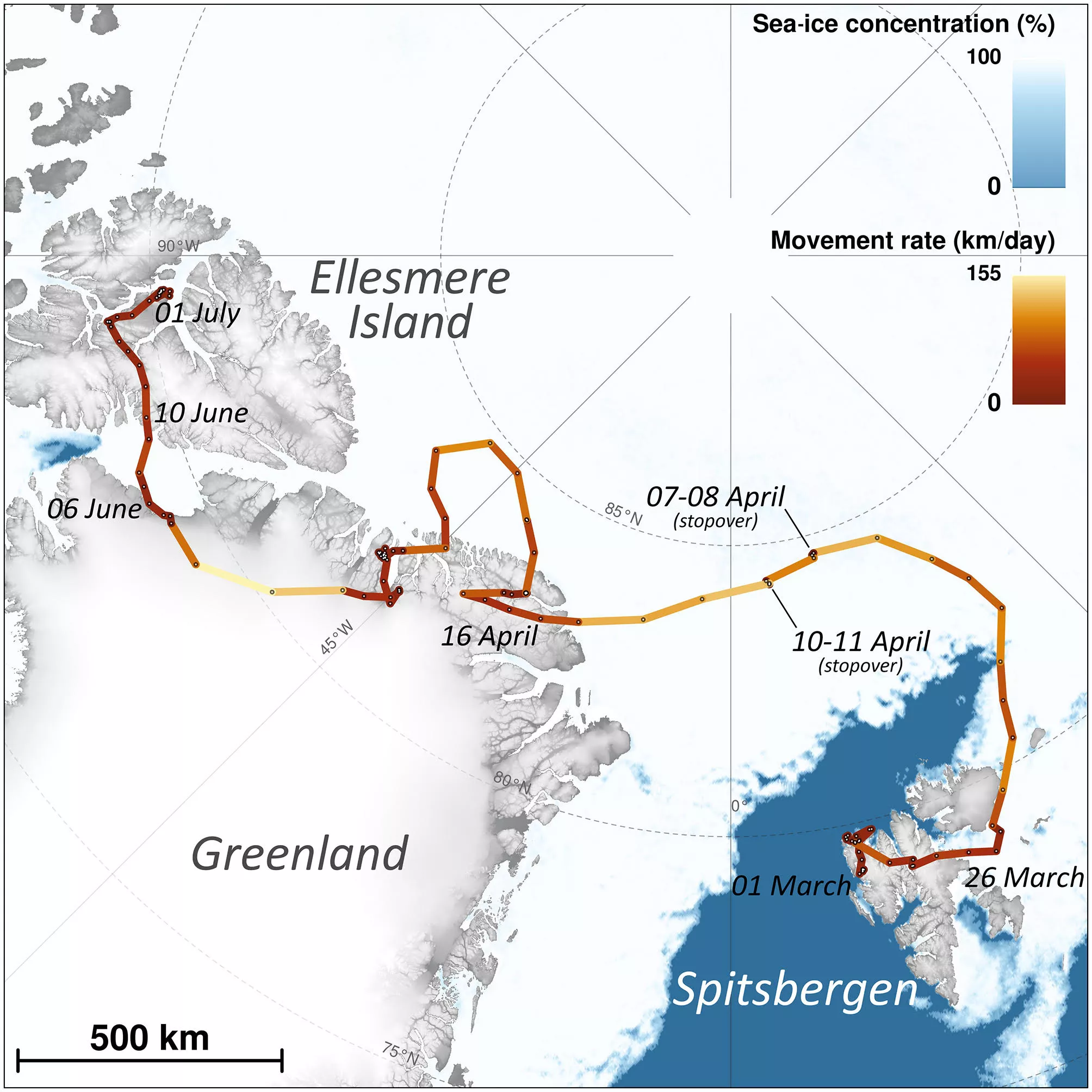 This map shows the movements of a young female Arctic fox that traveled from Svalbard to a remote part of Canada.