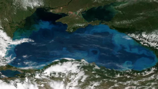Phytoplankton Blooms in the Black Sea