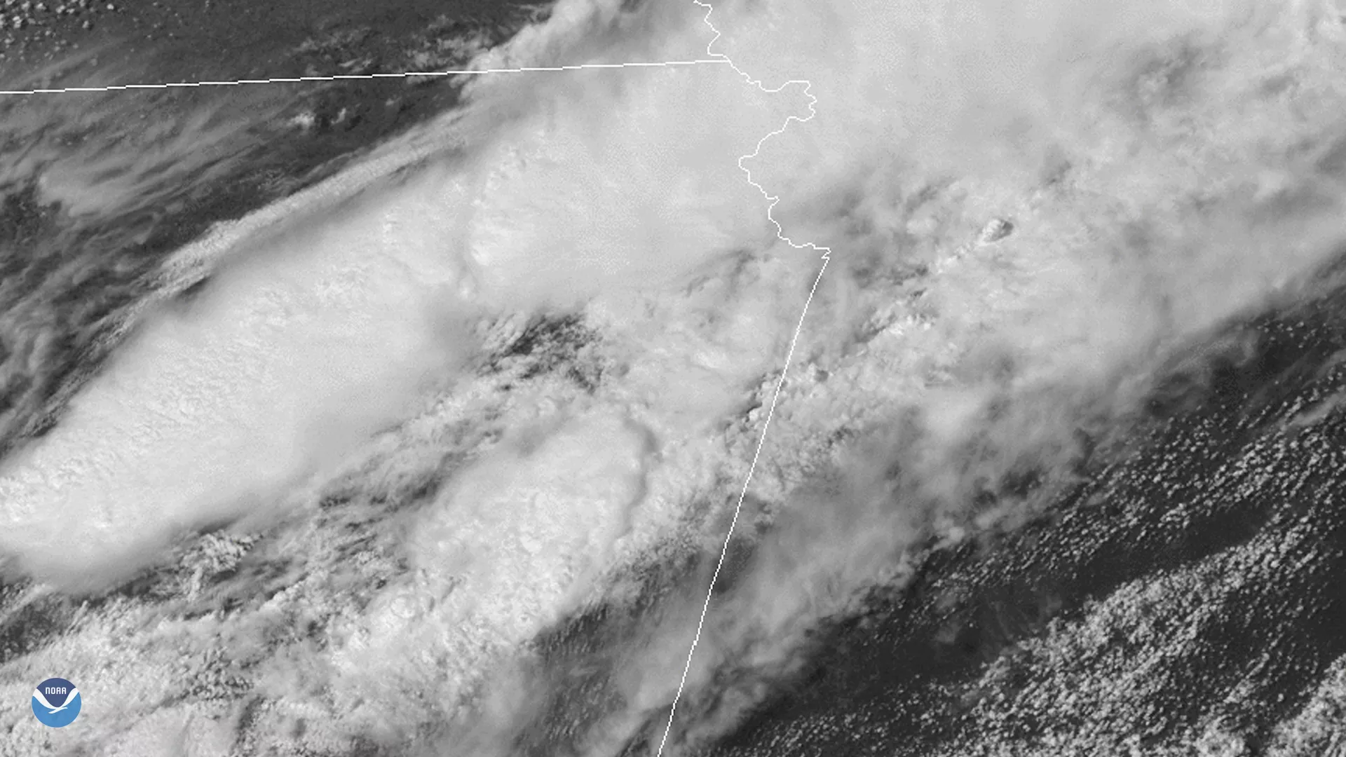 Image of a squal in the United States