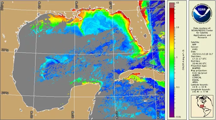 Images such as this VIIRS Chlorophyll-a image of the Gulf of Mexico are used to generate Anomaly products used along with other environmental and in situ data to determine the extent of algal bloom formation.