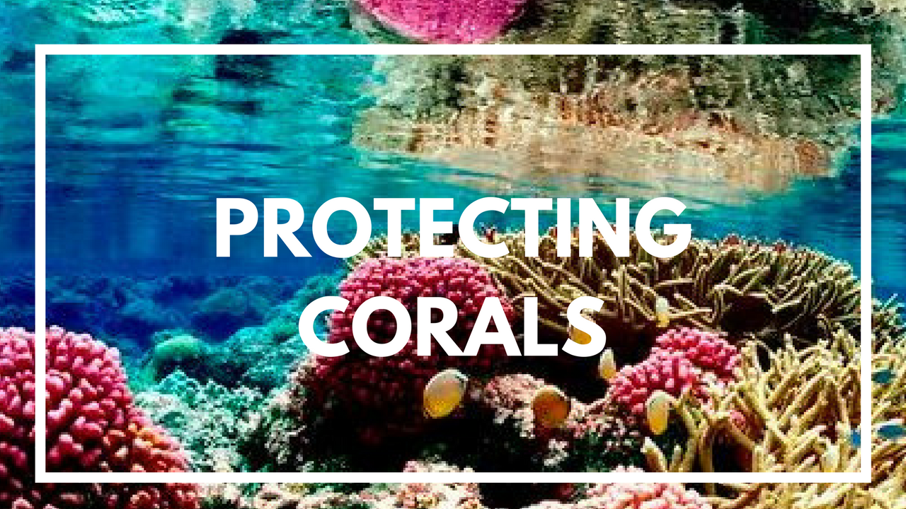 Protecting Corals